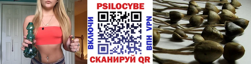 закладки  Кушва  Псилоцибиновые грибы прущие грибы 